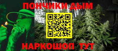 ГАЛЛЮЦИНОГЕННЫЕ ГРИБЫ Кингисепп