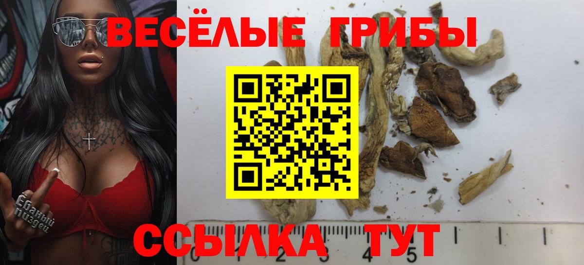 Псилоцибиновые грибы GOLDEN TEACHER  Вход с VPN  хочу наркоту  Тельмана 