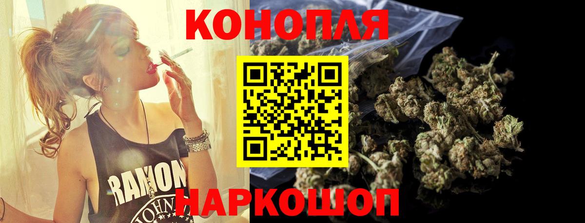 Канабис планчик Тельмана